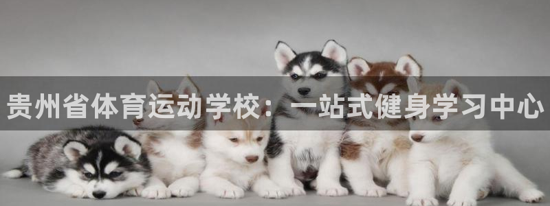 米兰体育官网下载招商电话是多少啊:贵州省体育运动学校:一站式