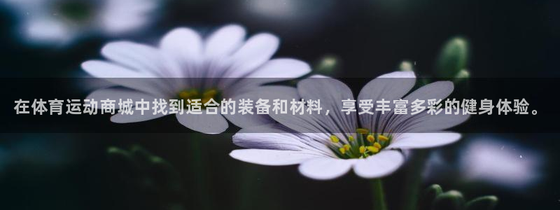 米兰体育官方正版app集团官网网址:在体育运动商城中找到适合