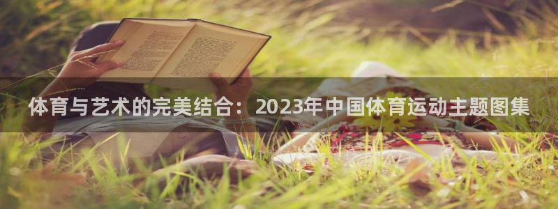 米兰体育官方正版app代理:体育与艺术的完美结合:2023年