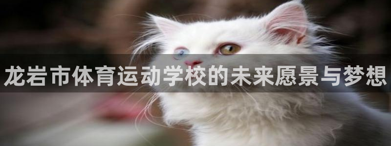 米兰体育官网下载招商电话号码查询:龙岩市体育运动学校的未来愿